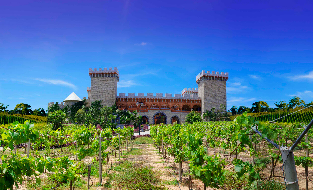 wine castle mui ne