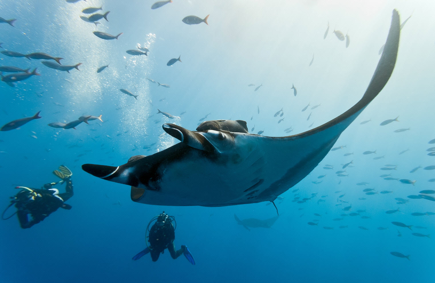 diving bali