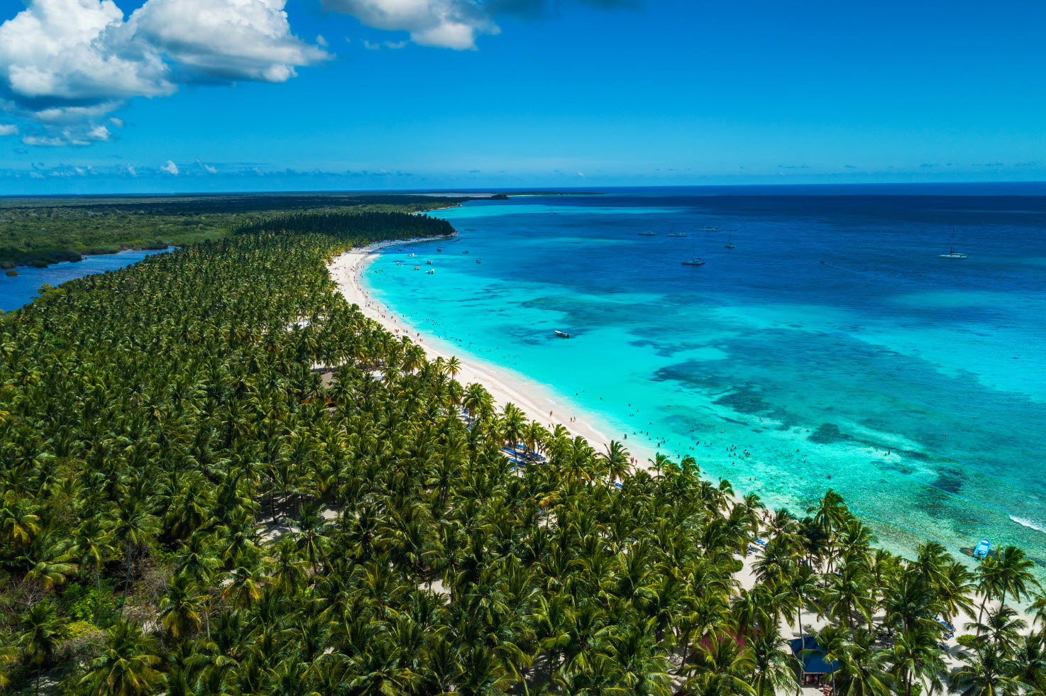 dominicana