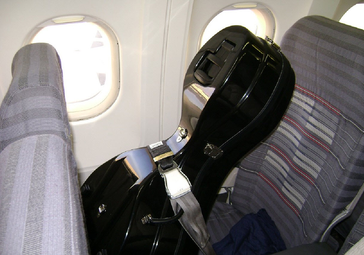 Музыкальные инструменты в салоне самолета